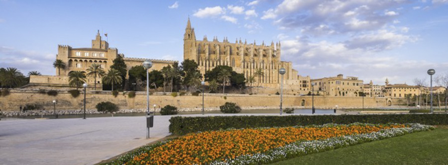 11 planes en Palma de Mallorca para 2022